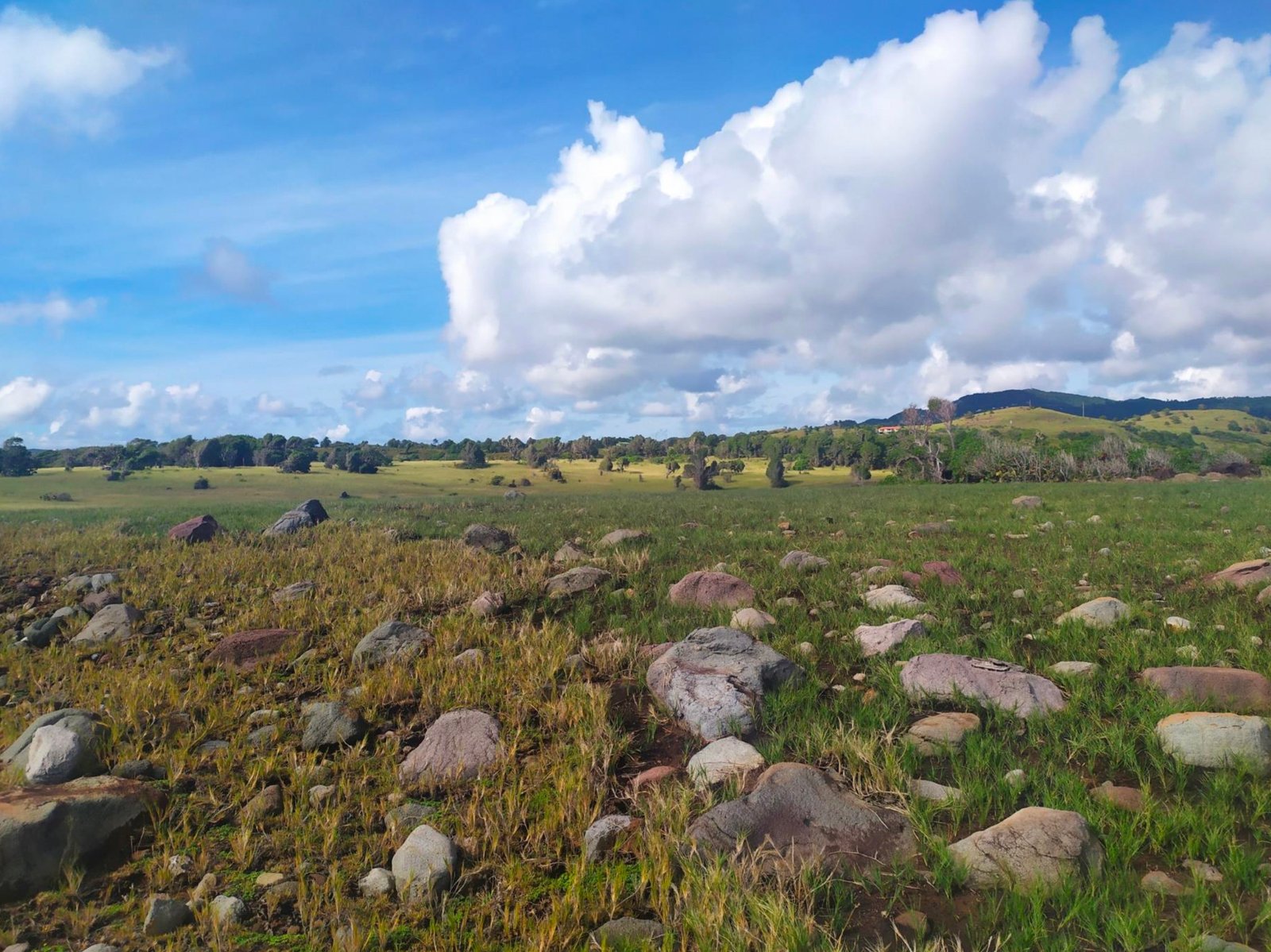 84 acres of land for sale in Micoud - Honeymoon Beach
